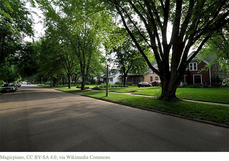 Forest Avenue District